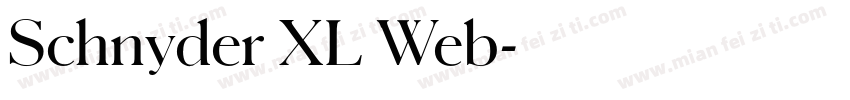 Schnyder XL Web字体转换
